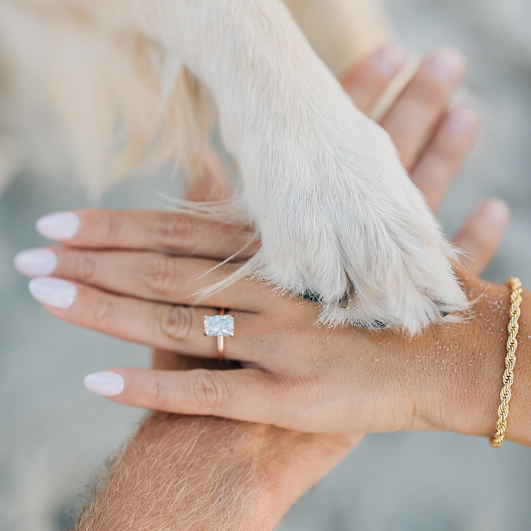 LBI Wedding Photographer - Beach Engagement session with Dog